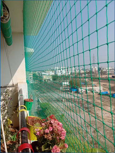 Pigeon Safety Nets in Bhubaneswar