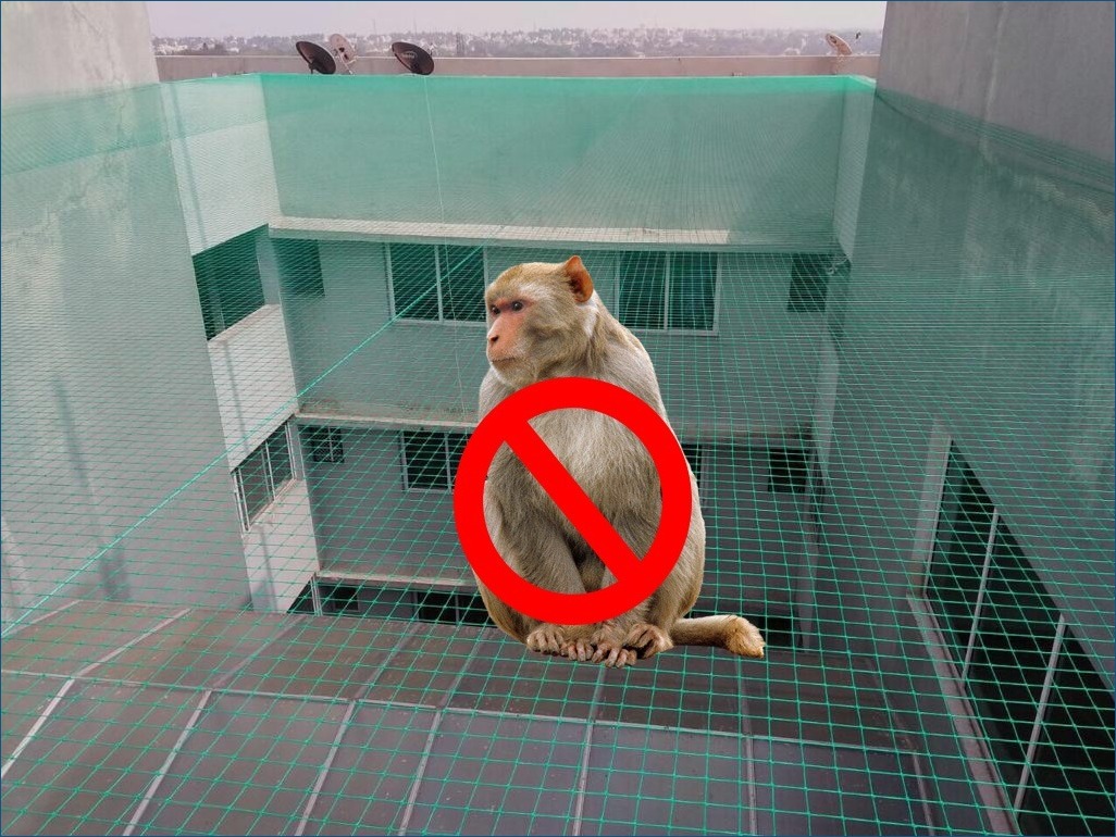 Monkey Safety Nets in Bhubaneswar
